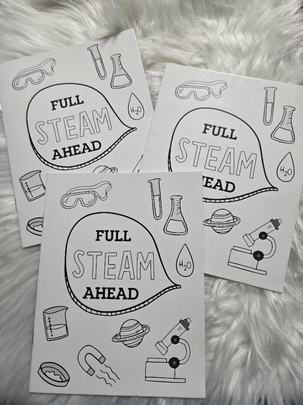 Full Steam Ahead Student Workbooks